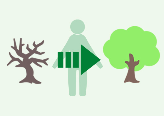 「髪は体の一部」という本質的なアプローチ